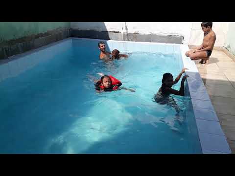 Como tirar o medo do cachorro de nadar na piscina