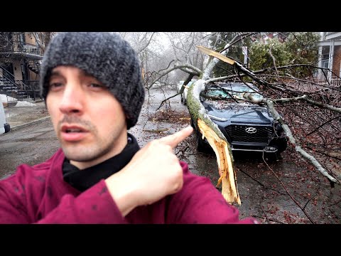 Sparaliżowane miasto - Montreal