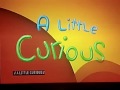 A Little Curious 1999 2000 Credits