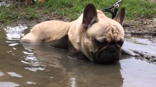 French mud bath