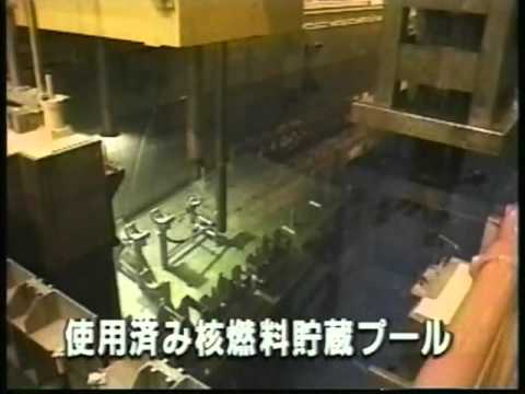 セラフィールドについて詳しく解説