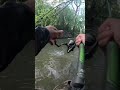 One of the CHEAPEST baits!! 🎣🔥🐟 #fish #fishing #fisherman #fishingvideo #fishinglife #shorts #reels