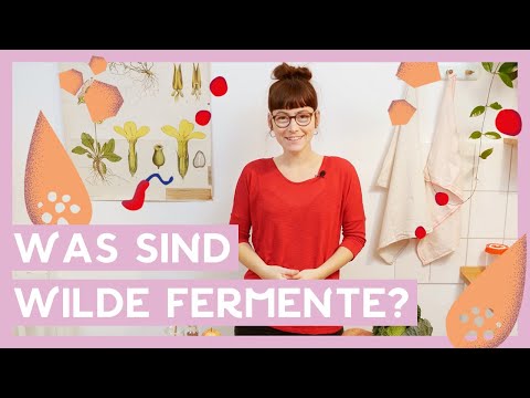 Was sind wilde Fermente? I Milchsäuregärung, Fermentation, Geschichte