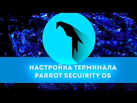 Терминал Parrot Security OS как сделать визуальную часть лучше | Информационная безопасность