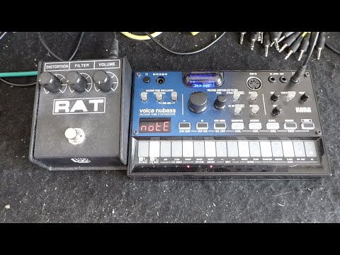 Korg Volca Nubass & ProCo Rat