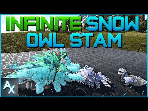 Snow Owl Infinite Stamina Heal - Ark Quick Tip #5 #shorts