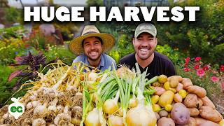 I Can't Believe We Harvested This From a Backyard...