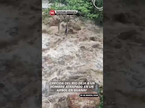 #LaPaz |Crecida del Rio deja un hombre atrapado en un árbol en Guanay