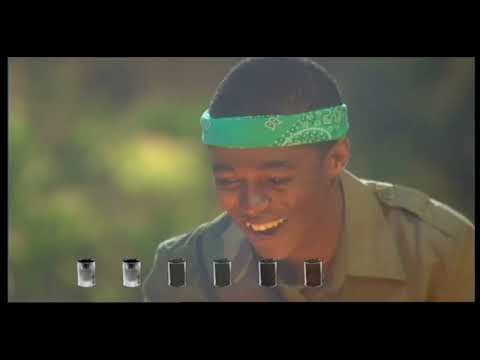 Jungle Run: My Parents are Aliens Special (2005)