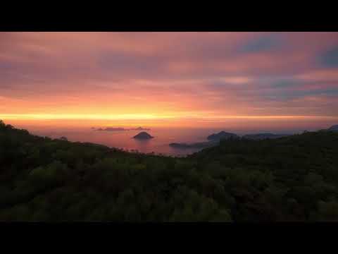 Segen und Fluch - 5.Mose 28