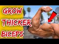 4 BEST BICEP EXERCISES FOR THICKER BICEPS (TRY THESE NOW!) #howtobuildmuscle #howtogetbiggerbiceps