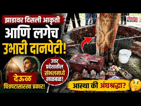 झाडावर दिसली आकृती आणि लगेच उभारली दानपेटी; उत्तर प्रदेशातील सांभलमध्ये ‘देऊळ’ चित्रपटासारखा प्रकार!