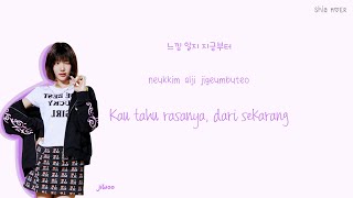 Download lagu Hearts2Hearts (하츠투하츠) STYLE [Han/Rom/Ina] Color Coded Lyrics Lirik Terjemahan Indonesia mp3