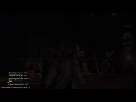 Summoner's Guide to FFXIV Part LXXXIX: Ala Mhigo