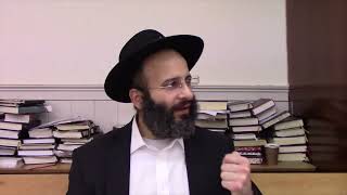דיני עירוב תבשילין