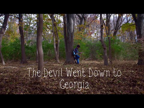 The Devil Went Down to Georgia