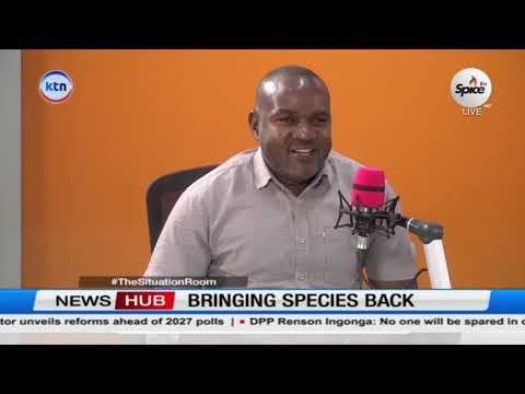 Bring endangered species back: Kenya's unique ecosystem on the verge of extinction