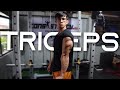 BEST TRICEPS IN TOWN