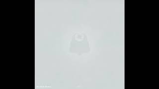 The Flashbulb - Petiole