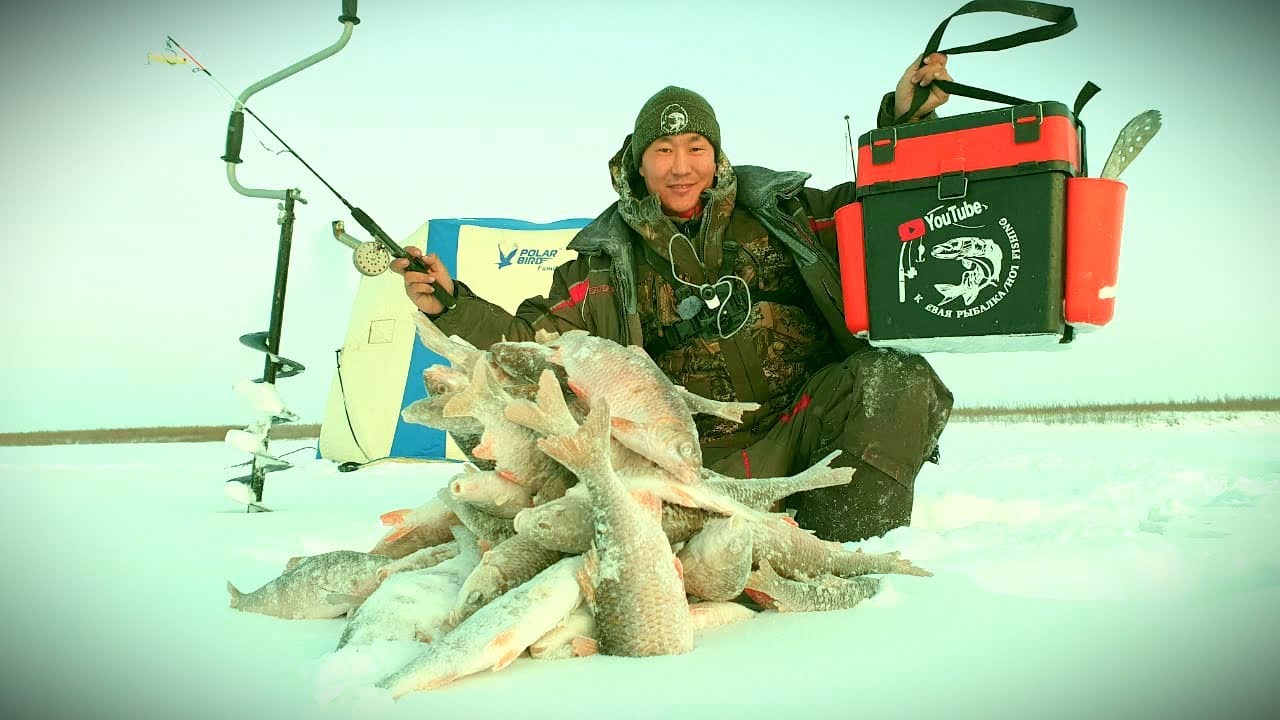 Плотва в Якутии - она такая огромная!