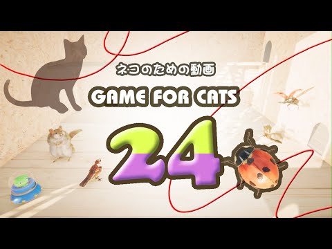 GAME FOR CATS 24　Ladybug,Rat,UFO,Rope,Bird