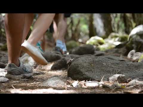 Trailer Corsica Fly, drive and camp