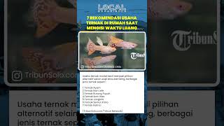 7 Ide Usaha Ternak Modal Kecil Cocok di Rumah Praktis untuk Pemula dan Berpotensi Untung Besar