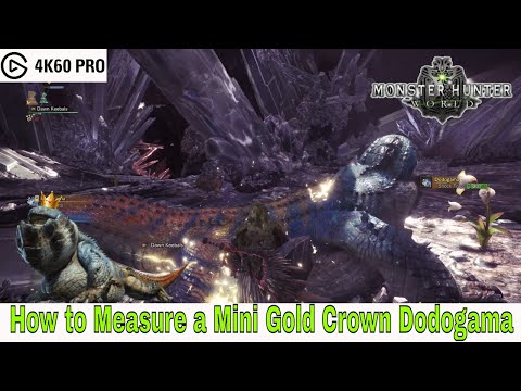 Monster Hunter: World - How to Measure a Mini Gold Crown Dodogama Video