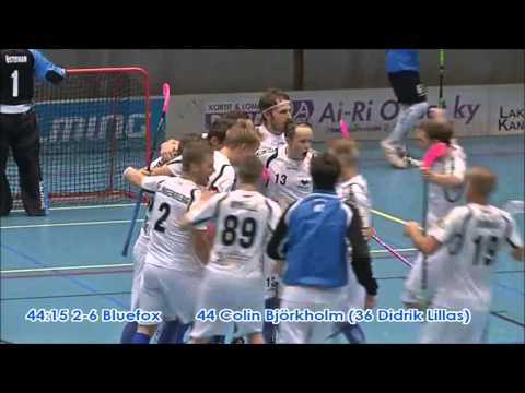 25.10.2015 - Karhut-Bluefox maalikooste