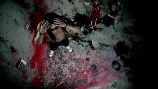 Hello  Stafford Brothers feat. Lil Wayne _ Christina Milian Fan Video, Lyrics, HD)