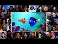 Marlin Meets Dory Finding Nemo Reaction Mashup Findingnemo