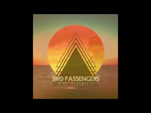 Bird Passengers - Brave The Dark