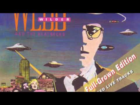 Webb Wilder   Poolside