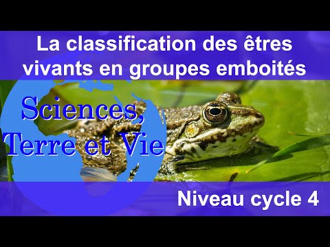 La classification des êtres vivants en groupes emboités