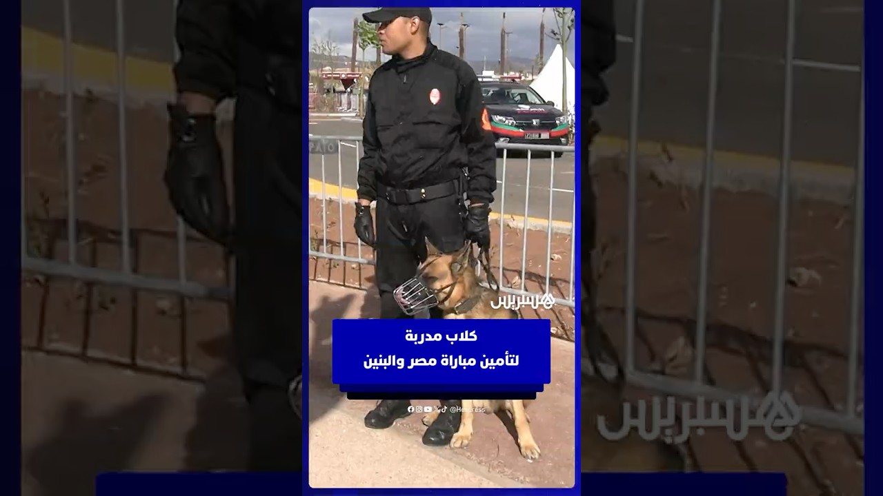 كلاب مدربة لتأمين مباراة مصر والبنين thumbnail