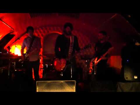 Nada especial-Wiz(El perro de la parte de atrás del coche)