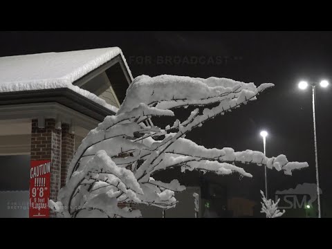 01-03-2021 Cerro Gordo, IL - Heavy Snow