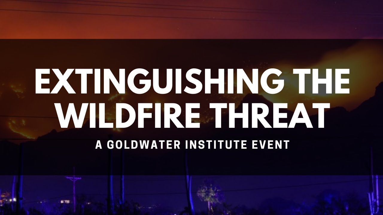 Extinguishing the Wildfire Threat: Lessons from Arizona