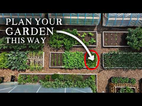 Intensive Gardening: Forever Changing Your Veggie Patch