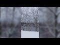 Январь 2024. III. [Not Love Perhaps -- John Surman]