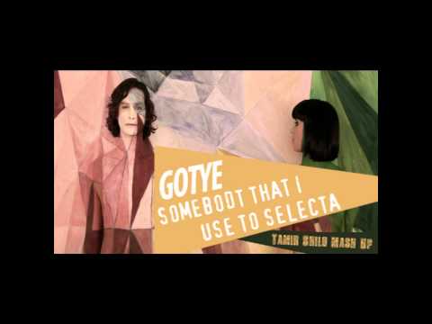Gotye Vs. Afrojack & Quintino - Somebody That I Use to Selecta (Tamir Shilo Mash-Up)