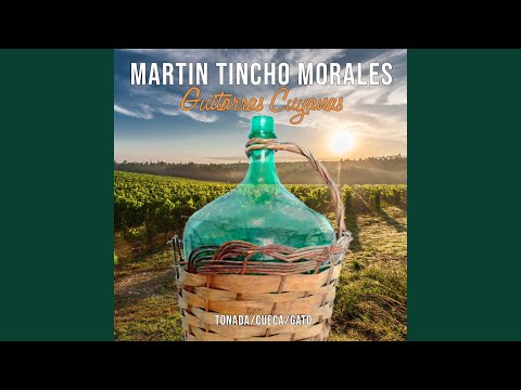 Guitarras Cuyanas (Tonada / Cueca / Gato)