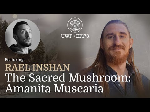 The Sacred Mushroom: Amanita Muscaria - Rael Inshan