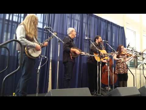 50 Miles From Nowhere - Greg Blake IBMA 2015