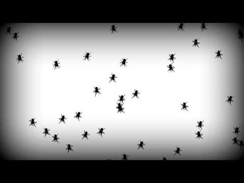 Free Spiders Crawling In Window - Halloween Projection