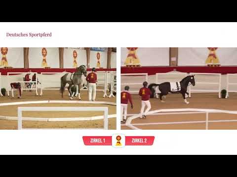 Lot 65 v. Fynch Hatton / Sir Donnerhall I & Lot 70 v. Negro / Quaterback