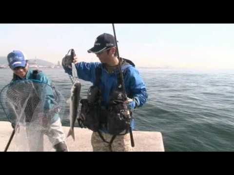 COREMAN lures CORE! Vol.2 - Saltwater Fishing JAPAN