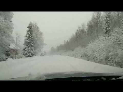 Lääkärireissun kuulumiset