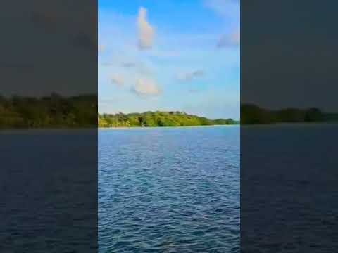 Laguna de Perlas un paraíso natural en Nicaragua #lagunaDePerlas #LagunaNicaragua #CostaCaribe