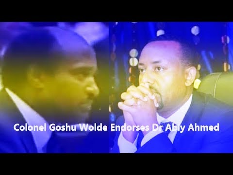 Ethiopia: Goshu Wolde Endorses PM Abiy Ahmed